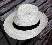 vignette du songbook Latino